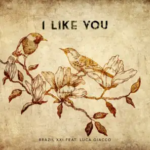 I Like You (feat. Luca Giacco)