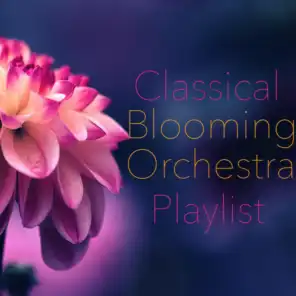 Blooming Orchestra