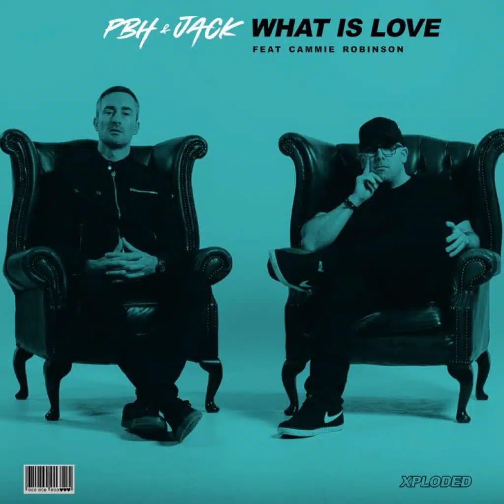 What Is Love (feat. Cammie Robinson)