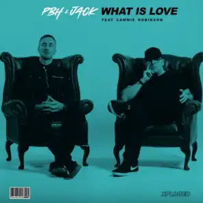 What Is Love (feat. Cammie Robinson)