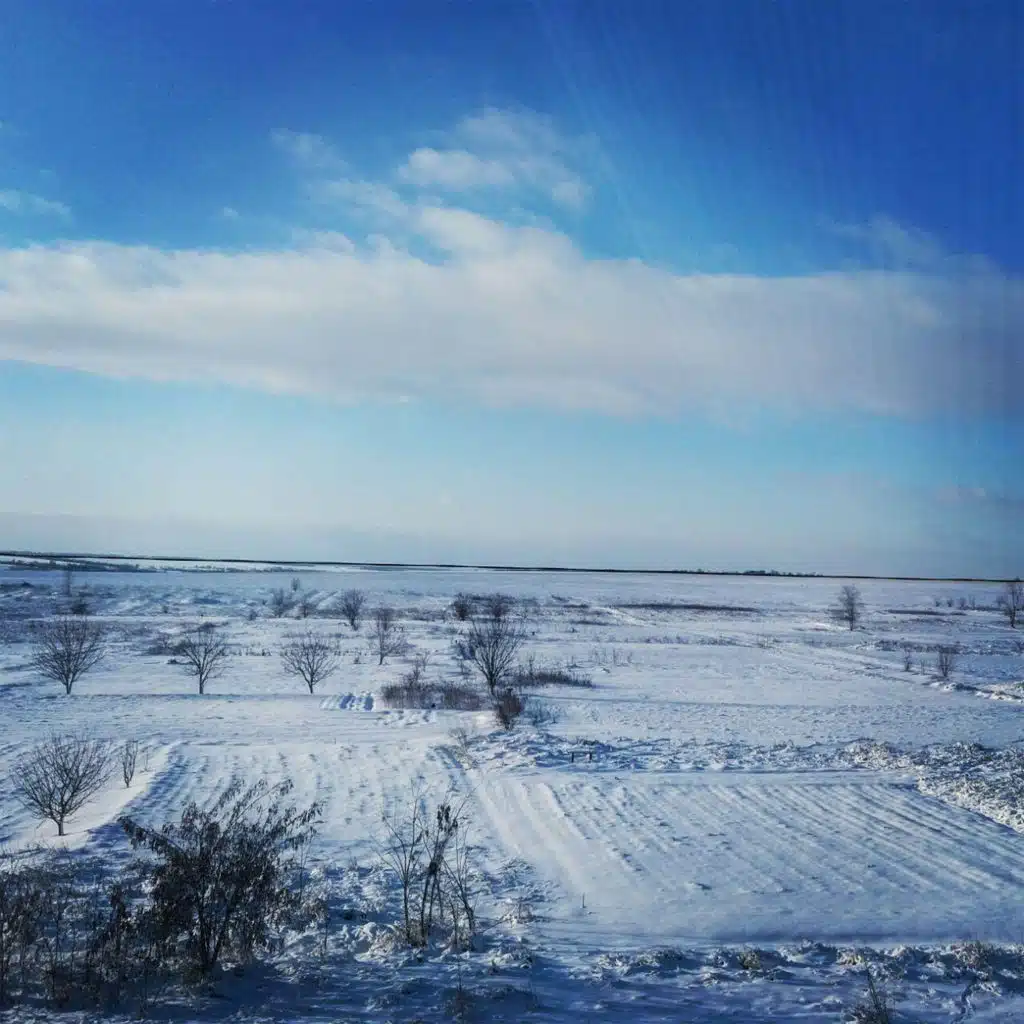 Winter Stories