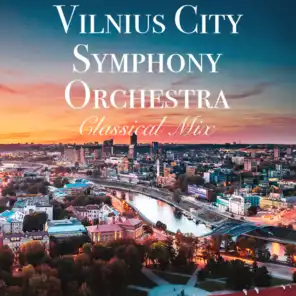 Vilnius City Symphony Orchestra