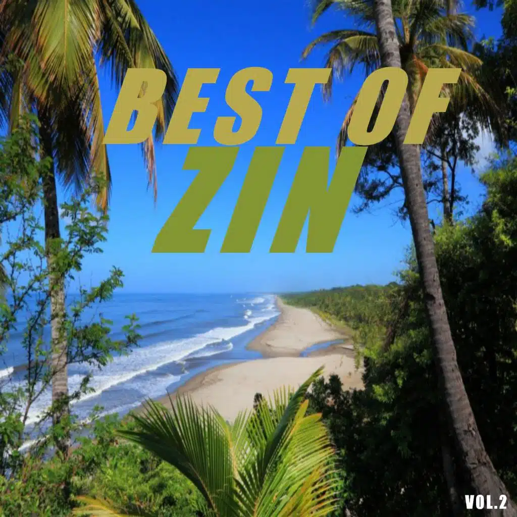 Best of zin (Vol. 2)