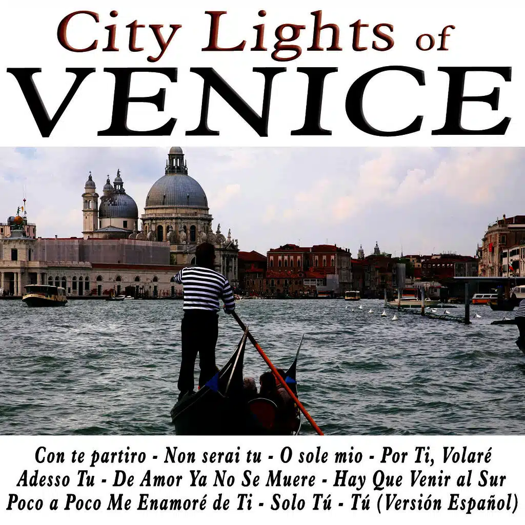 City Lights of Venice