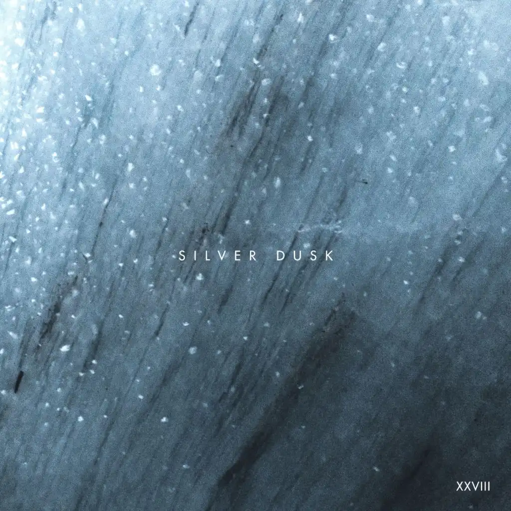 Feather Rain (Zoi Remix)