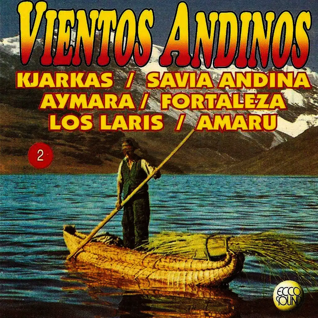 Vientos Andinos