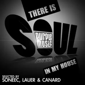 There Is Soul in My House
