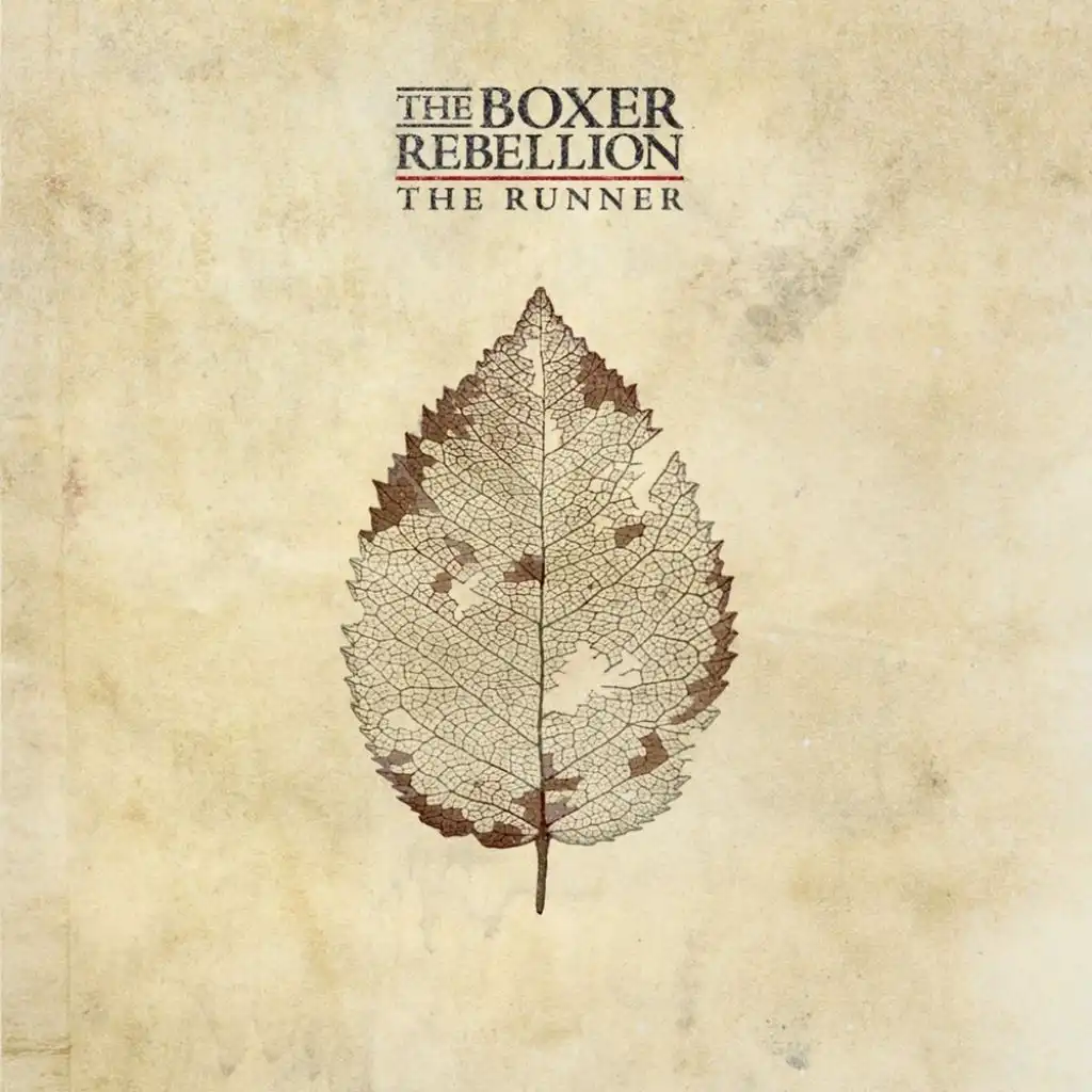 The Runner (The Joy Formidable Remix Instrumental)