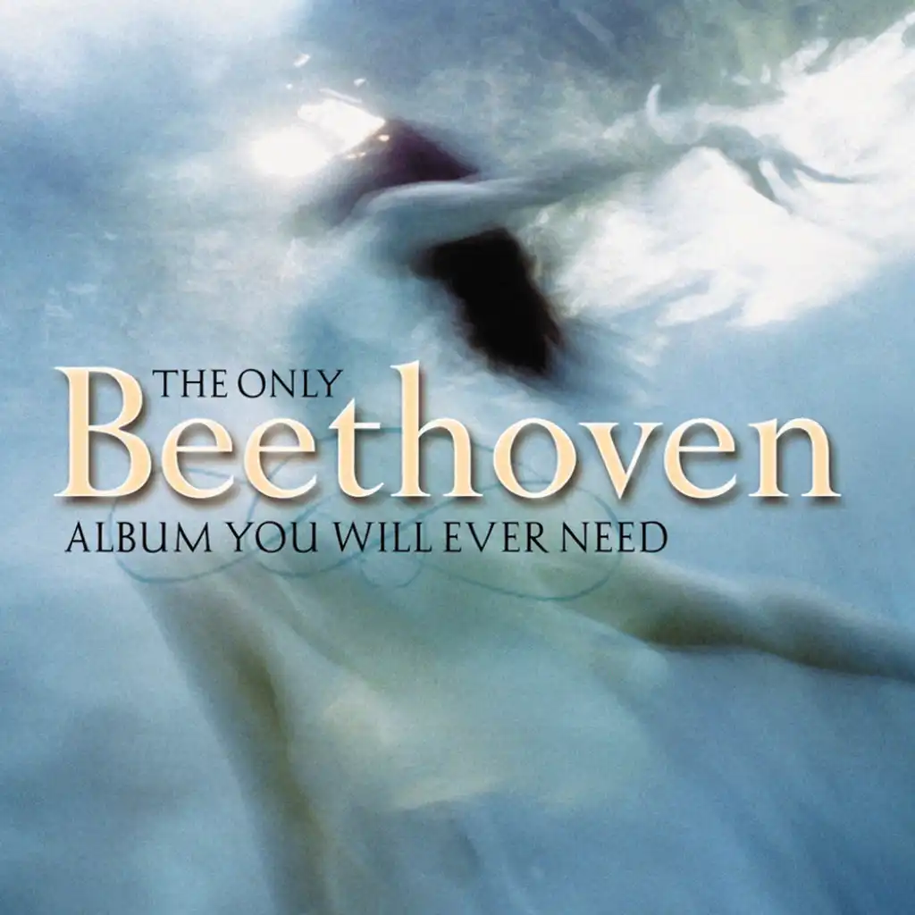 Symphony No. 1 In C Major, Op. 21: I. Adagio molto - Allegro con brio