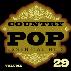 Country/Pop Essential Hits, Vol. 29