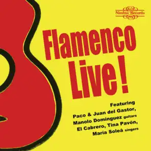 Flamenco Live!