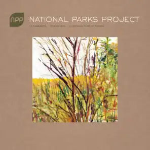 National Parks Project