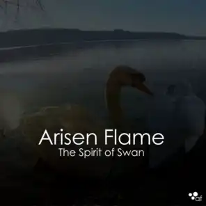 The Spirit of Swan