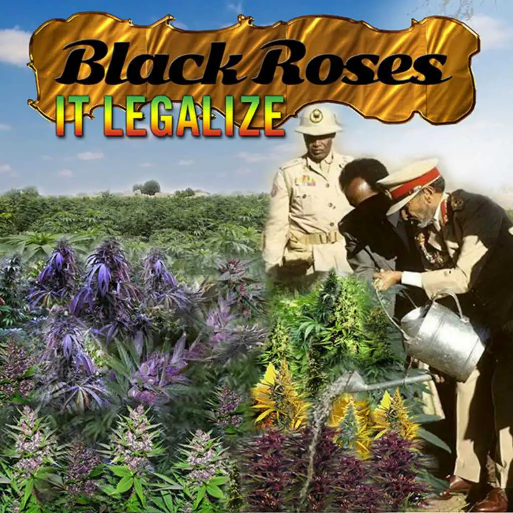Black Roses (feat. Brenda)