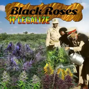 Black Roses It Legalize