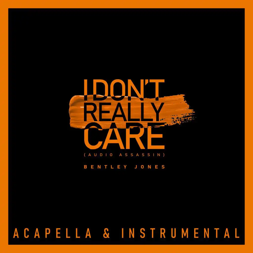 I Don't Really Care (Audio Assassin) (Instrumental)