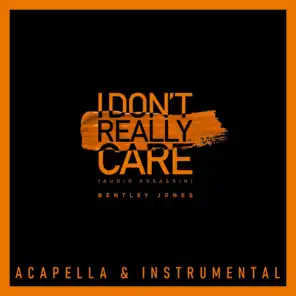 I Don't Really Care (Audio Assassin) [Acapella & Instrumental]