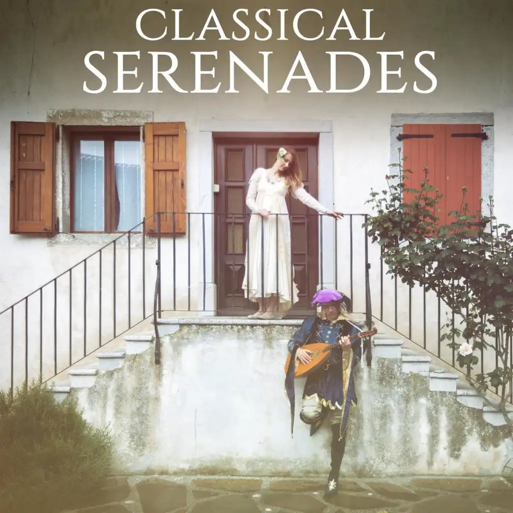 Serenade for Strings in C Major, Op. 48: II. Waltz (Moderato)