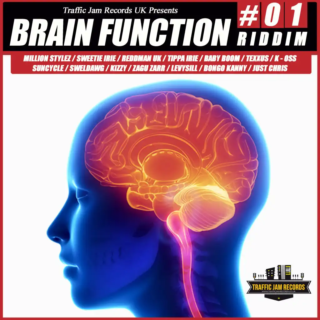 Brain Function Riddim 01