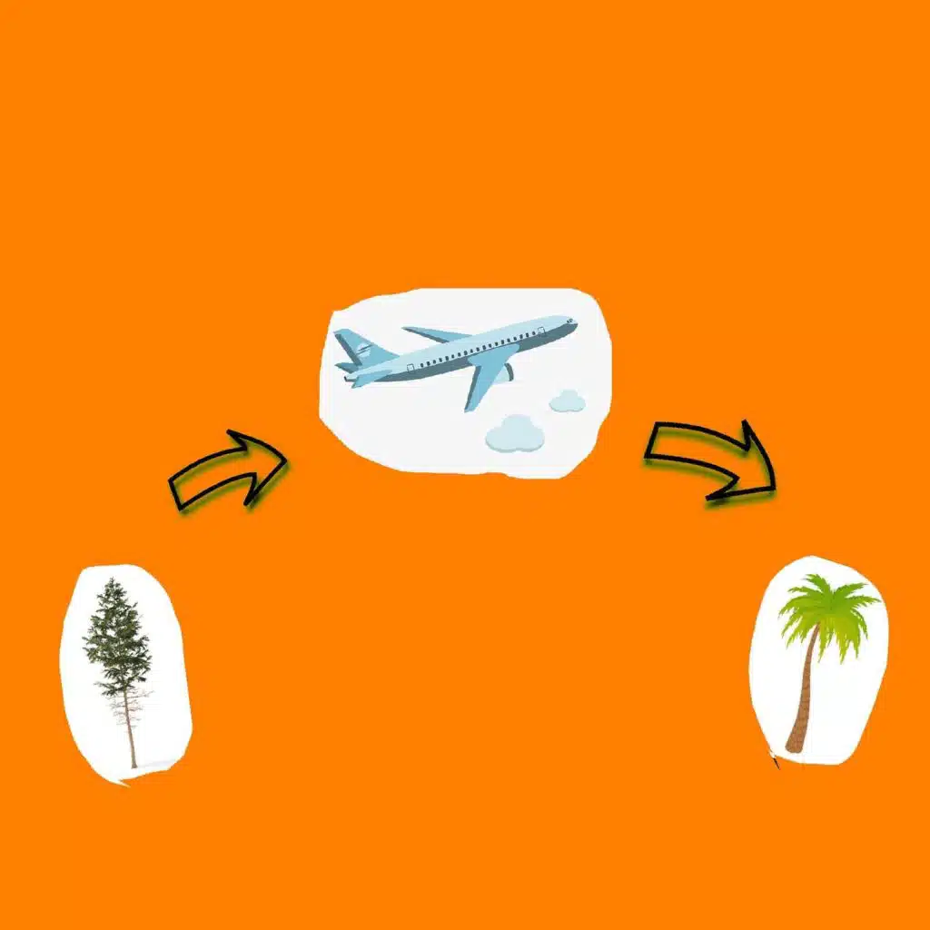 I Wish I Never Moved To Cali