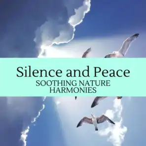 Silence and Peace - Soothing Nature Harmonies
