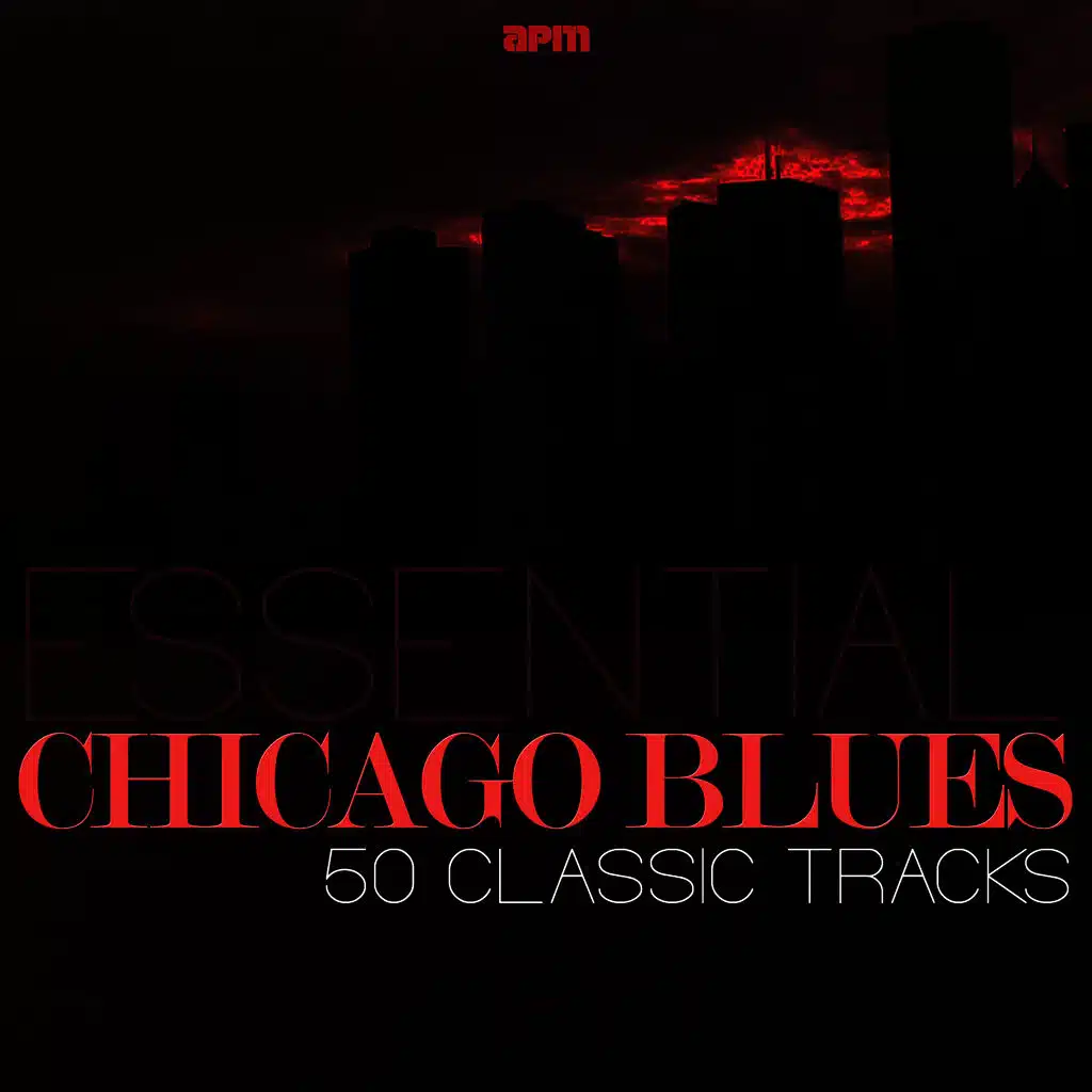 So Many Roads, So Many Trains