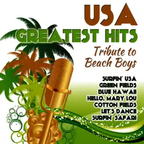 USA Greatest Hits - Tribute to Beach Boys