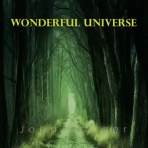 Wonderful Universe