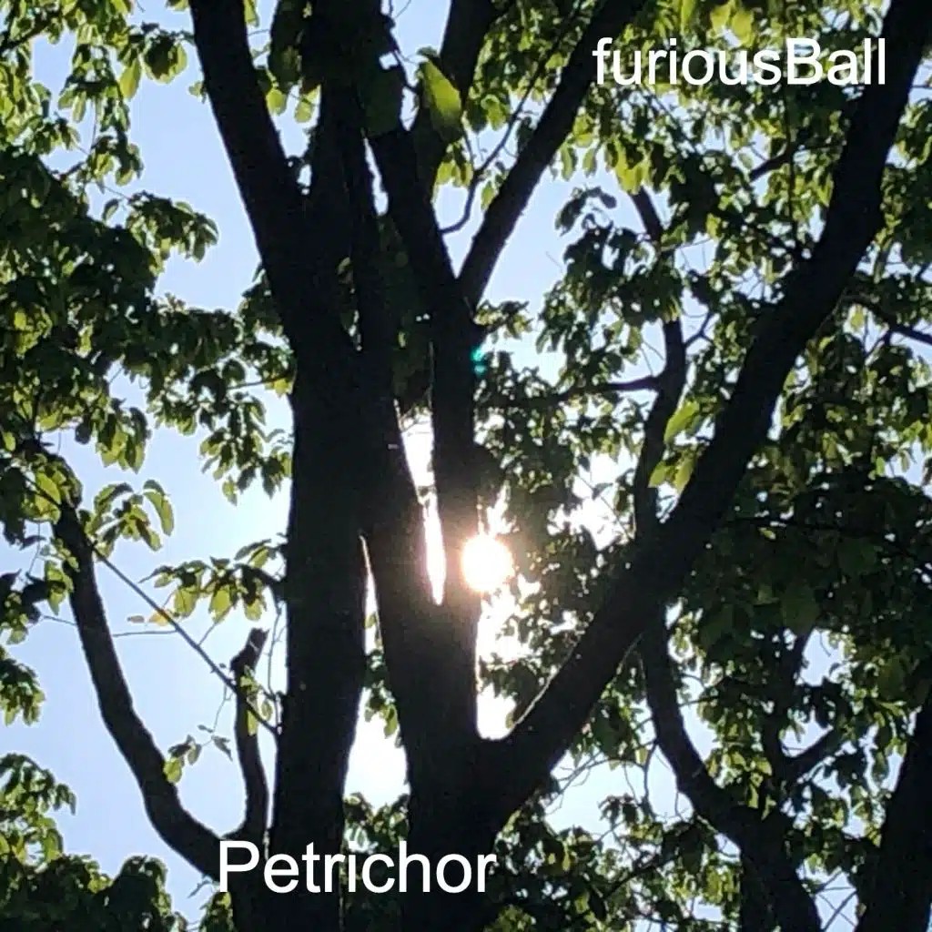 Petrichor