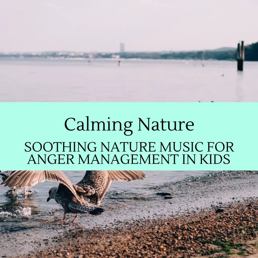 Calming Nature - Soothing Nature Music for Anger Management In Kids