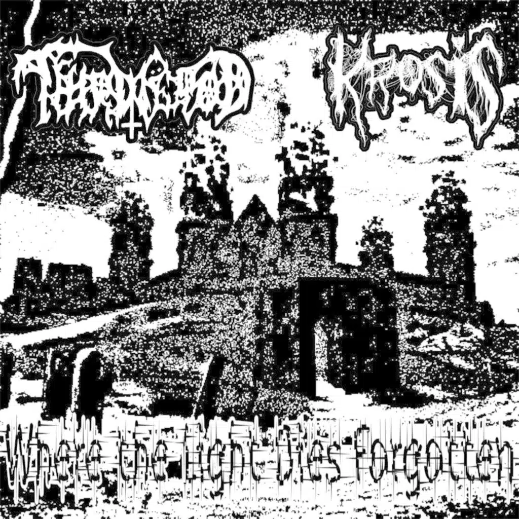 Where the Light Dies Forgotten