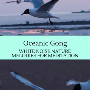Oceanic Gong - White Noise Nature Melodies for Meditation