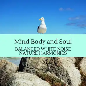 Mind Body and Soul - Balanced White Noise Nature Harmonies