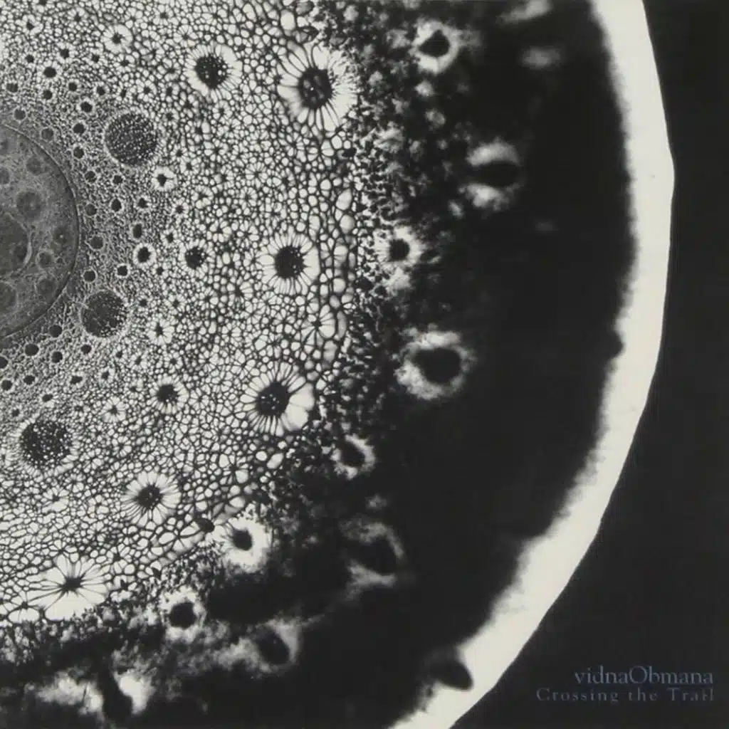 Crossing The Trail  (Deluxe 20th Anniversary Edition)