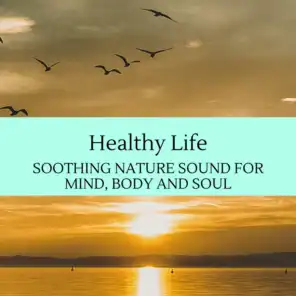 Healthy Life - Soothing Nature Sound for Mind, Body and Soul