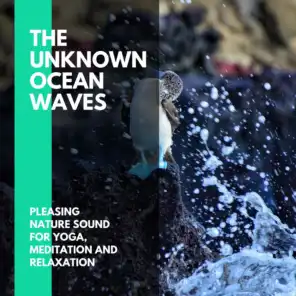 The Unknown Ocean Waves - Pleasing Nature Sound for Yoga, Meditation and Relaxation
