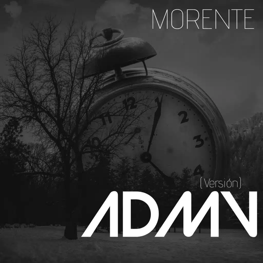 ADMV (Versión)