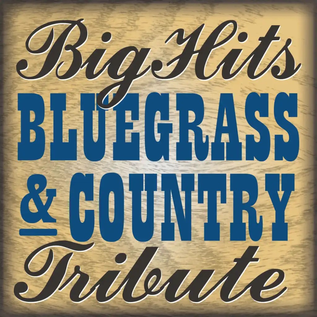 Big Hits Country & Bluegrass Tribute