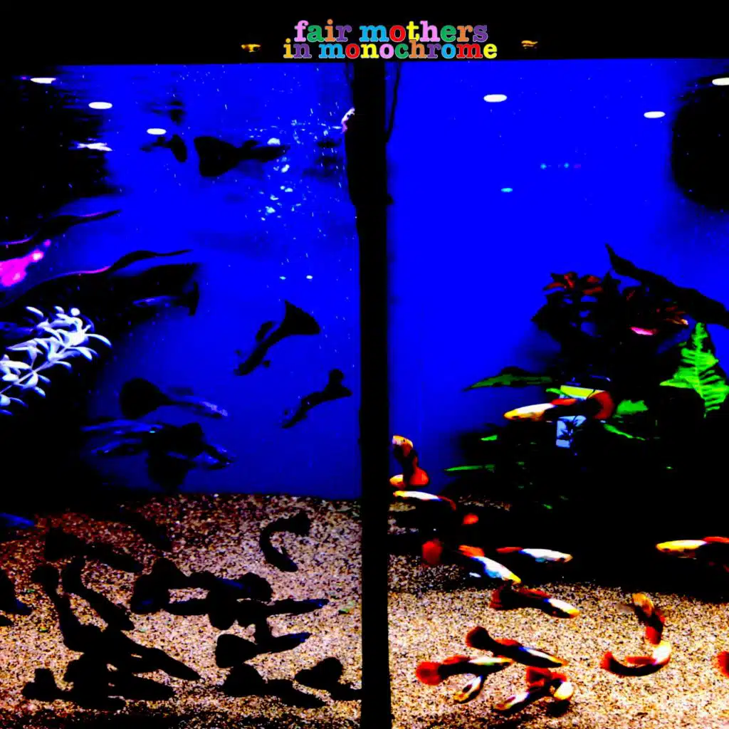 Birds and Bees and Tiny Fleas