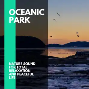 Oceanic Park - Nature Sound for Total Relaxation and Peaceful Life