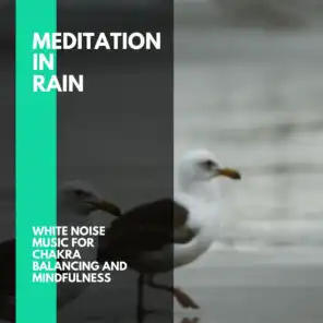 Meditation In Rain - White Noise Music for Chakra Balancing and Mindfulness