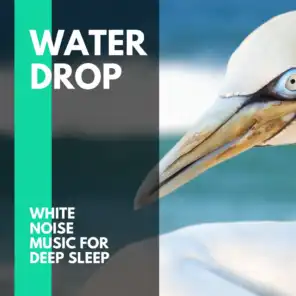 Water Drop - White Noise Music for Deep Sleep