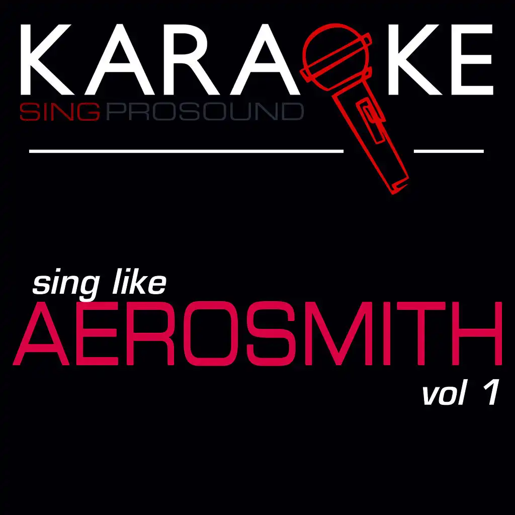 Karaoke in the Style of Aerosmith, Vol 1