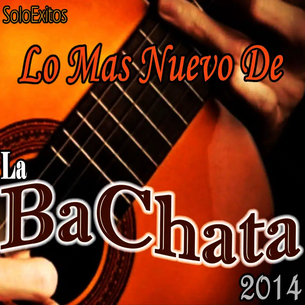 Exitos de Bachatas (2014)