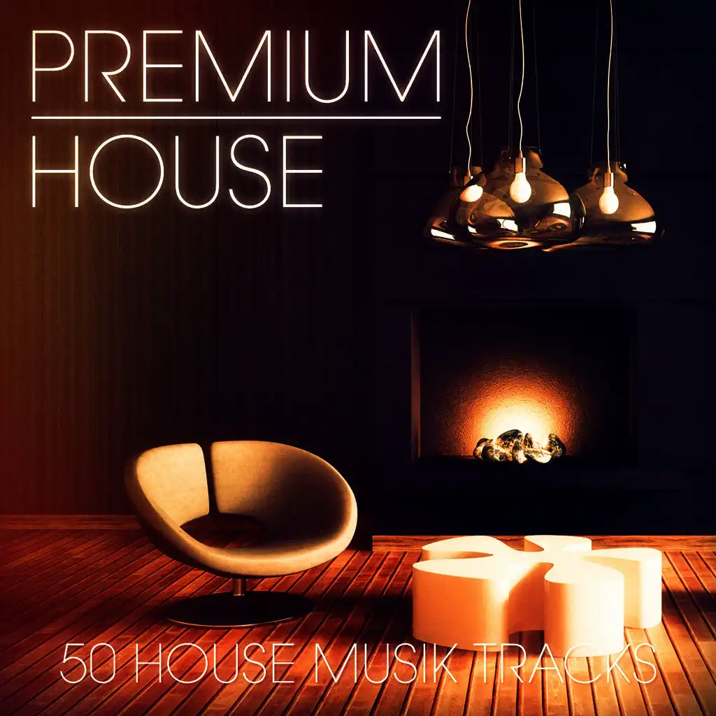 Premium House Music, Vol. 3 (Chic House und Deep House Musik für den modernen Clubgänger)