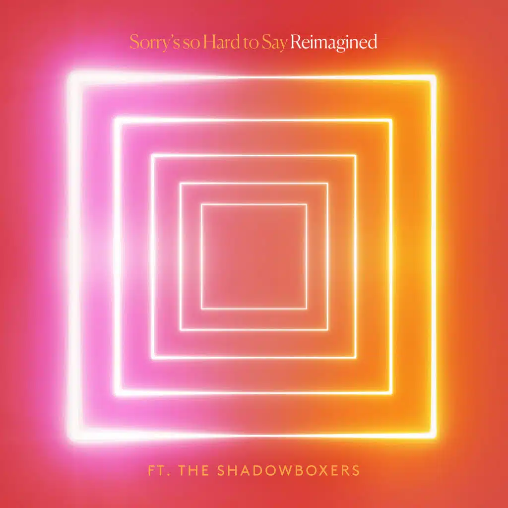 Sorry's so Hard to Say (Remix)