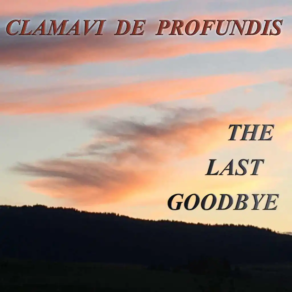 The Last Goodbye