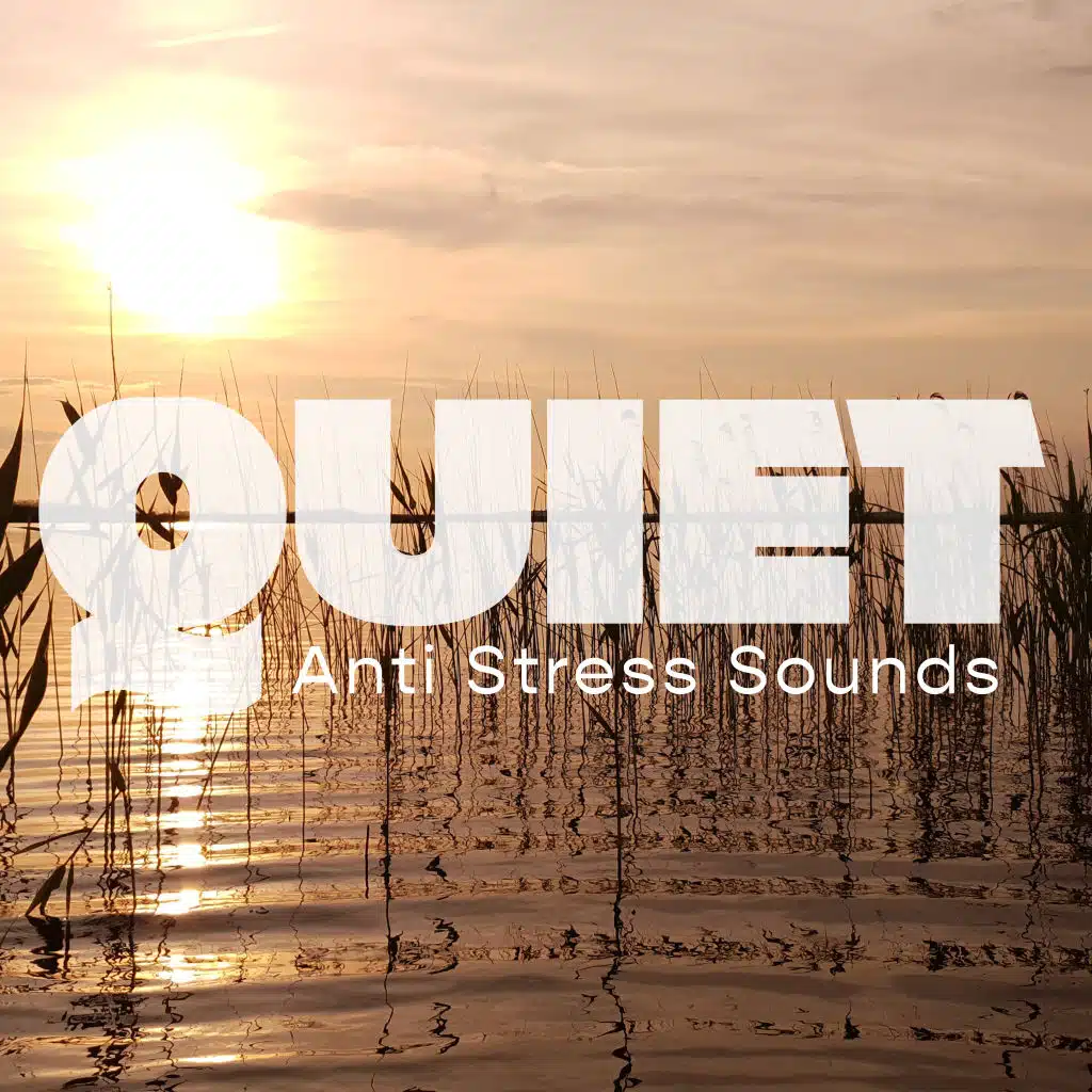 Reiki Healing Zone, Meditation, Meditation Yoga Music Masters