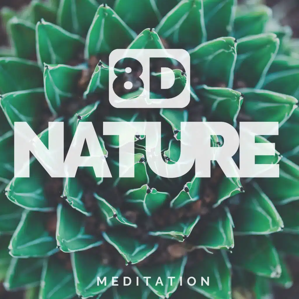 8D Nature Meditation – Relaxing Natural Sounds, Use Headphones