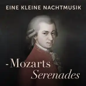 Serenade No. 13 in G Major, K. 525 "Eine kleine Nachtmusik": III. Menuetto (Allegretto)